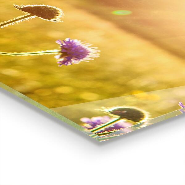 Pannello retrocucina Prato fiorito estivo