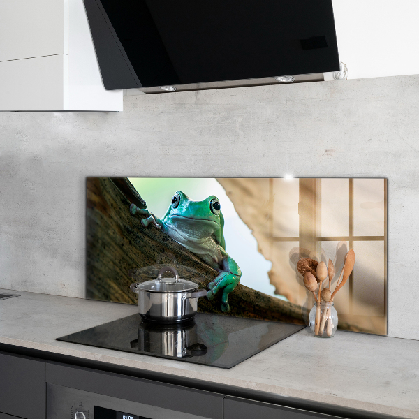 Pannello paraschizzi cucina Rana curiosa su una foglia