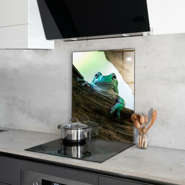 Pannello paraschizzi cucina Rana curiosa su una foglia