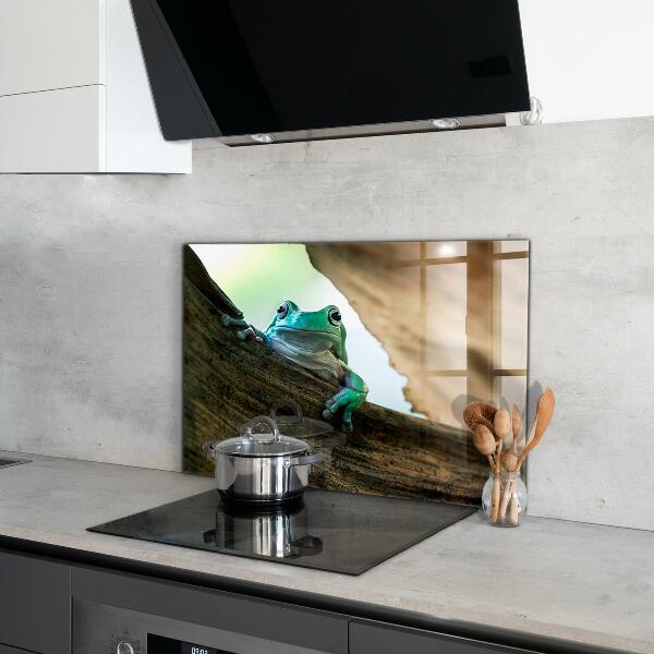 Pannello paraschizzi cucina Rana curiosa su una foglia