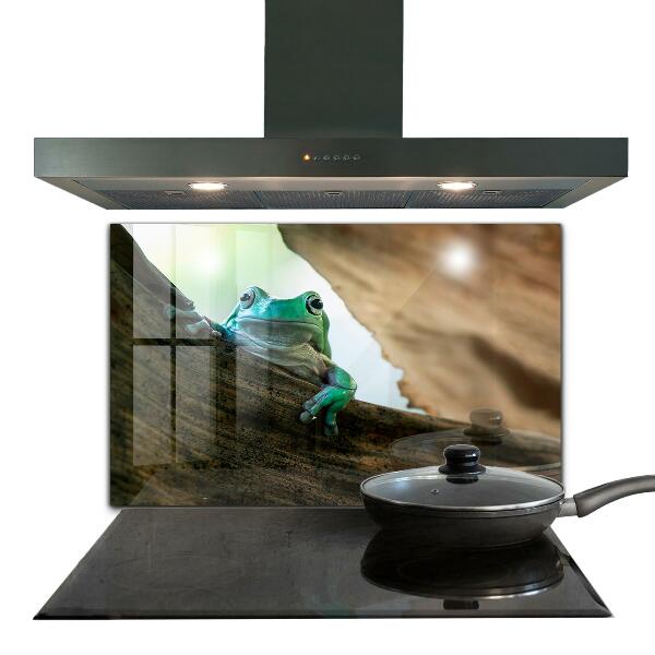 Pannello paraschizzi cucina Rana curiosa su una foglia