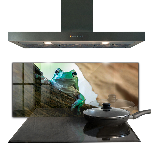 Pannello paraschizzi cucina Rana curiosa su una foglia