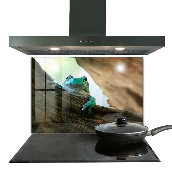 Pannello paraschizzi cucina Rana curiosa su una foglia