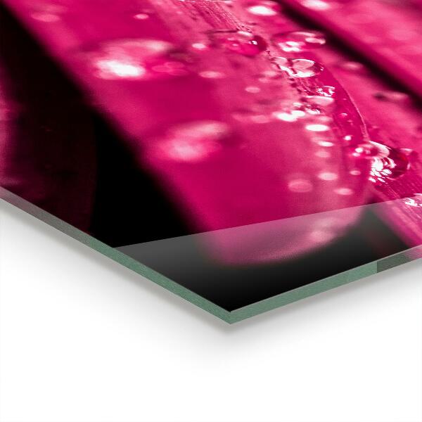 Pannello retrocucina Fiore di pianta rosa