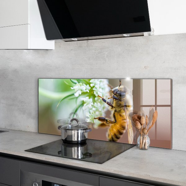 Pannello paraschizzi cucina Ape che raccoglie polline