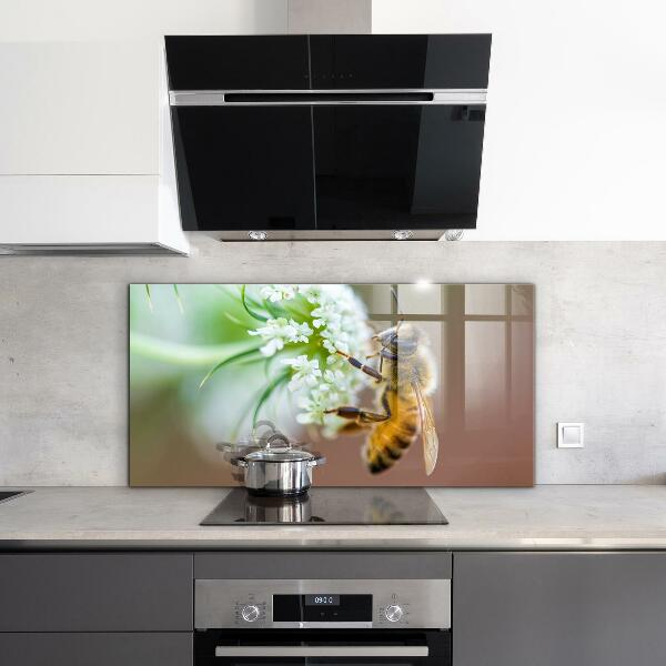 Pannello paraschizzi cucina Ape che raccoglie polline