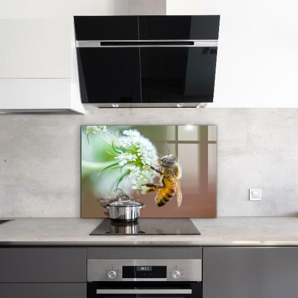Pannello paraschizzi cucina Ape che raccoglie polline