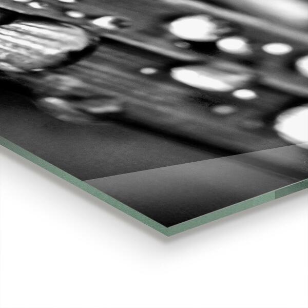 Pannello retrocucina Foglia rosa in bianco e nero