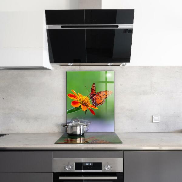 Pannello paraschizzi cucina Farfalla su un fiore estivo