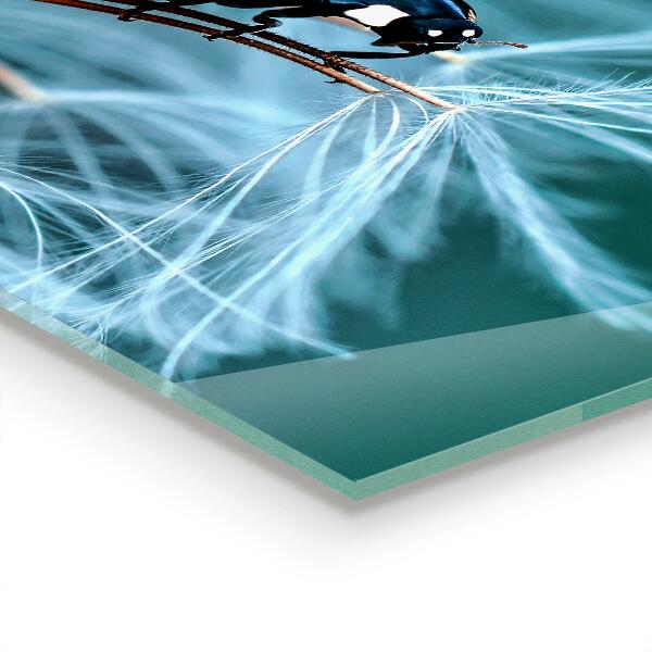 Pannello paraschizzi cucina Scarabeo rosso coccinella