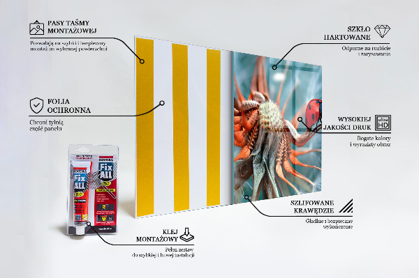 Pannello paraschizzi cucina Scarabeo rosso coccinella