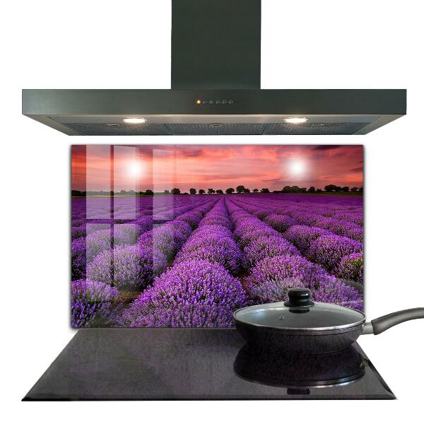 Pannello retrocucina Paesaggio del campo di lavanda