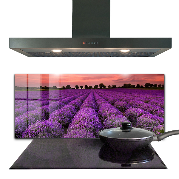 Pannello retrocucina Paesaggio del campo di lavanda