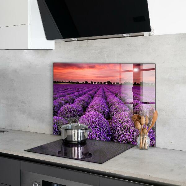 Pannello retrocucina Paesaggio del campo di lavanda