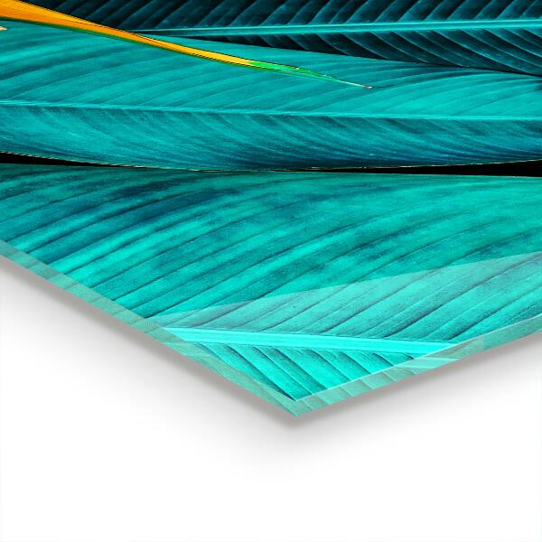 Pannello retrocucina Fiore esotico tropicale