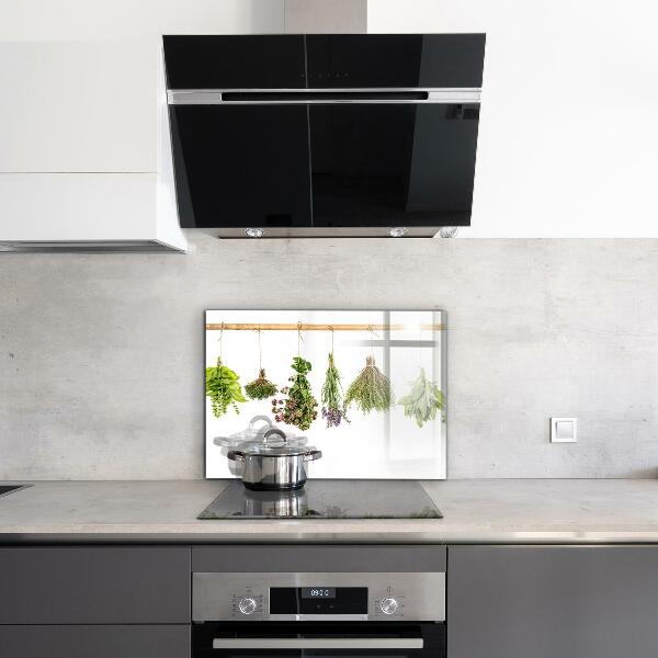 Pannello paraschizzi cucina Erbe secche il potere della natura