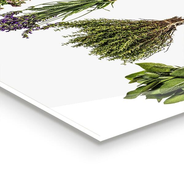 Pannello paraschizzi cucina Erbe secche il potere della natura