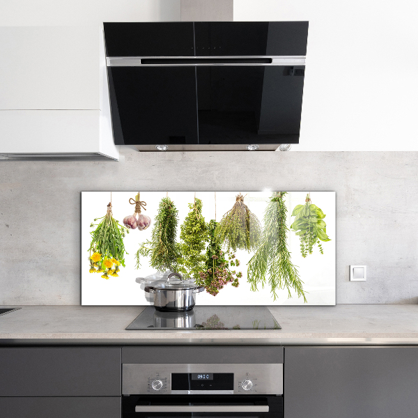 Pannello paraschizzi cucina Erbe secche medicina di erbe