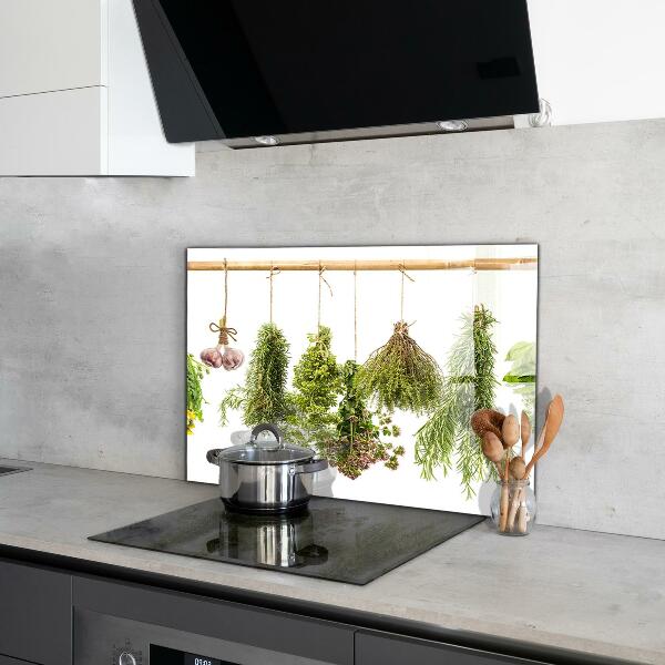 Pannello paraschizzi cucina Erbe secche medicina di erbe