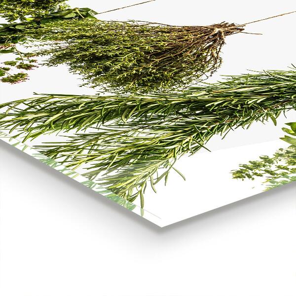 Pannello paraschizzi cucina Erbe secche medicina di erbe