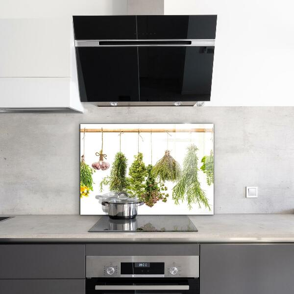 Pannello paraschizzi cucina Erbe secche medicina di erbe