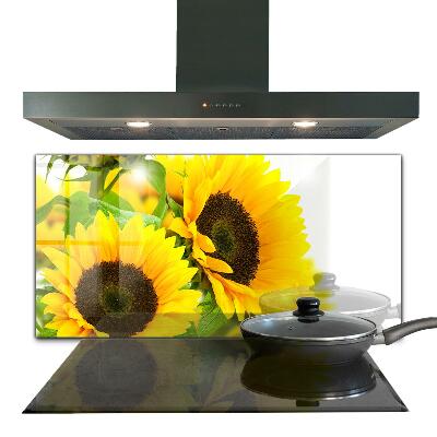 Pannello retrocucina Mazzo di girasole estivo