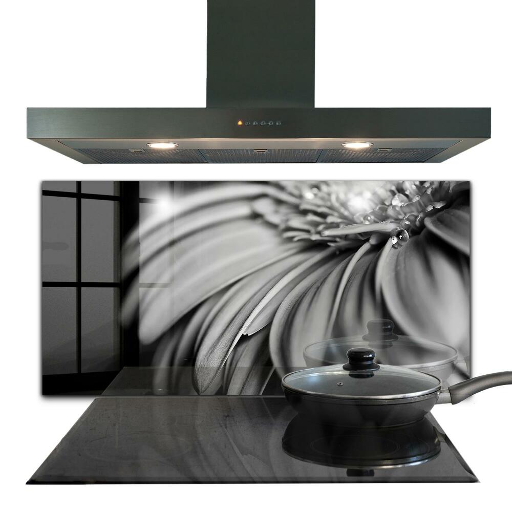 Pannello paraschizzi cucina Gerber foto in bianco e nero