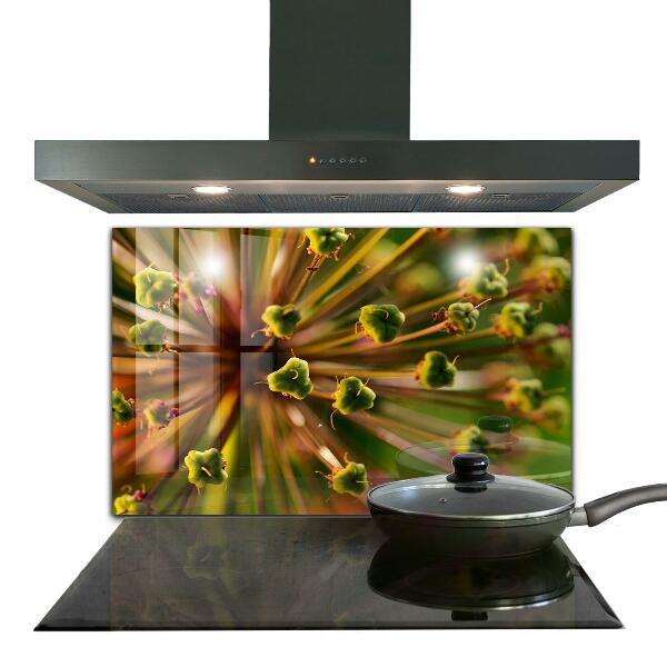 Pannello paraschizzi cucina Macrofotografia di fiori