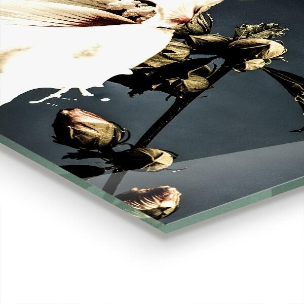 Pannello paraschizzi cucina Fiore bianco astratto