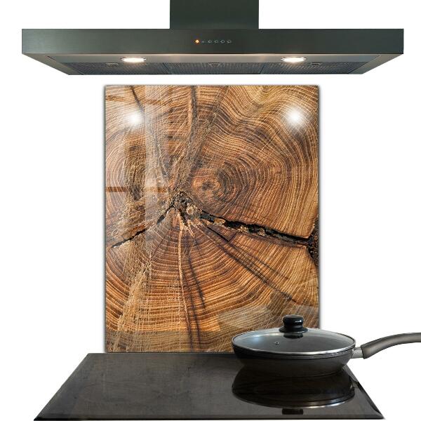 Pannello paraschizzi cucina Struttura del tronco