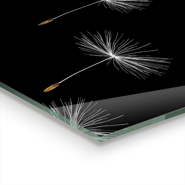 Pannello paraschizzi cucina Denti di leone nel vento