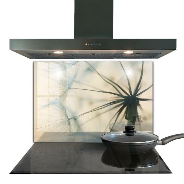 Pannello paraschizzi cucina Bellissimo dente di leone delicato