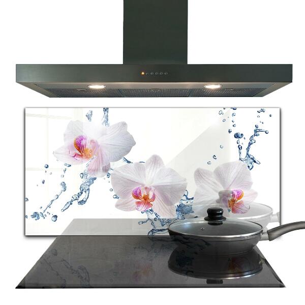 Pannello paraschizzi cucina Orchidea spruzzata con acqua