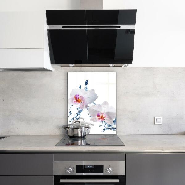 Pannello paraschizzi cucina Orchidea spruzzata con acqua