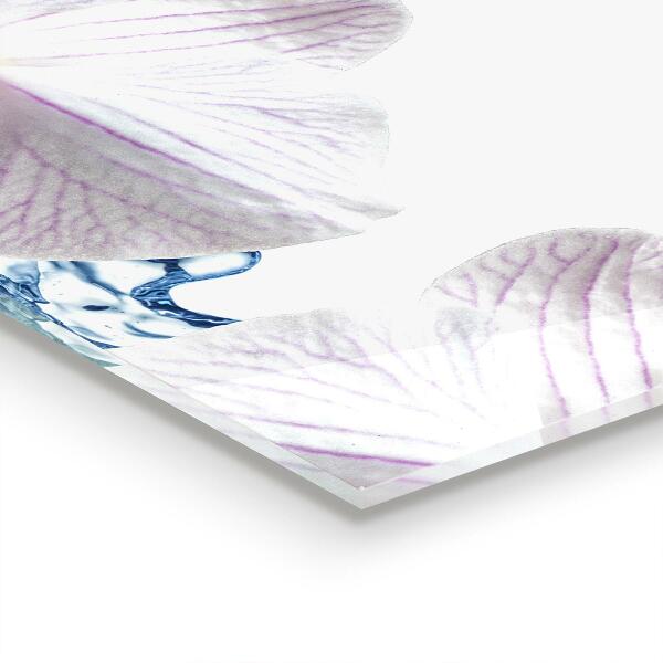 Pannello paraschizzi cucina Orchidea spruzzata con acqua