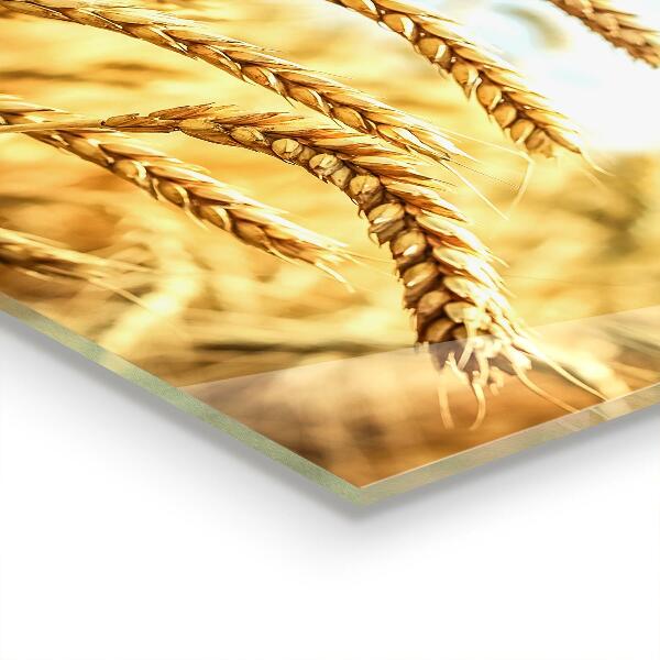 Pannello paraschizzi cucina Doni di grano di madre natura