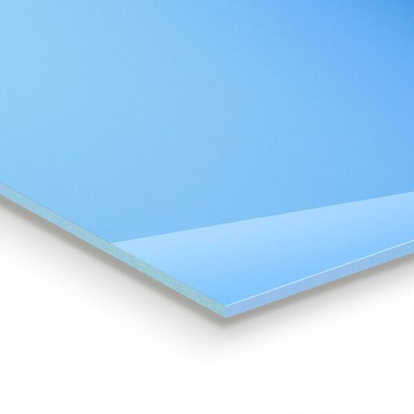 Pannello paraschizzi cucina Denti di leone delicati