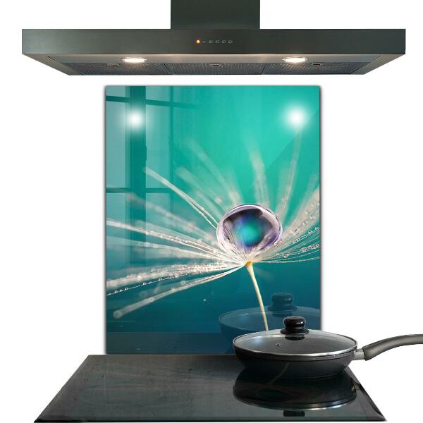 Pannello rivestimento parete cucina Dente di leone con una goccia di rugiada