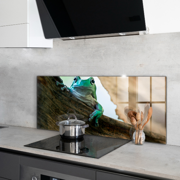 Pannello paraschizzi cucina Ritratto di rana africana