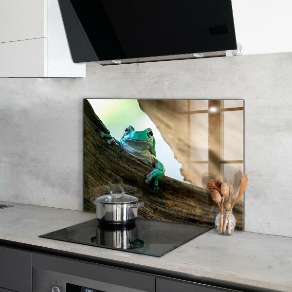 Pannello paraschizzi cucina Ritratto di rana africana