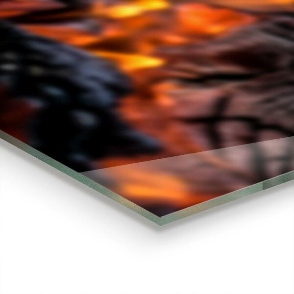 Pannello paraschizzi cucina Fuoco del falò che brucia