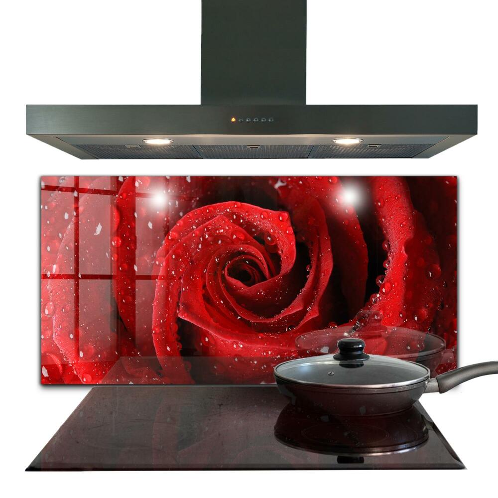 Rivestimento parete cucina Gocce di rugiada su una rosa rossa