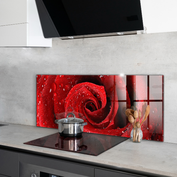 Rivestimento parete cucina Gocce di rugiada su una rosa rossa