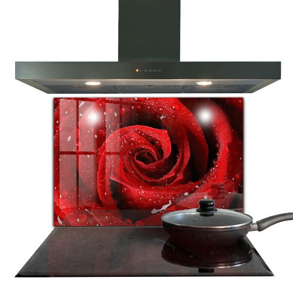 Rivestimento parete cucina Gocce di rugiada su una rosa rossa