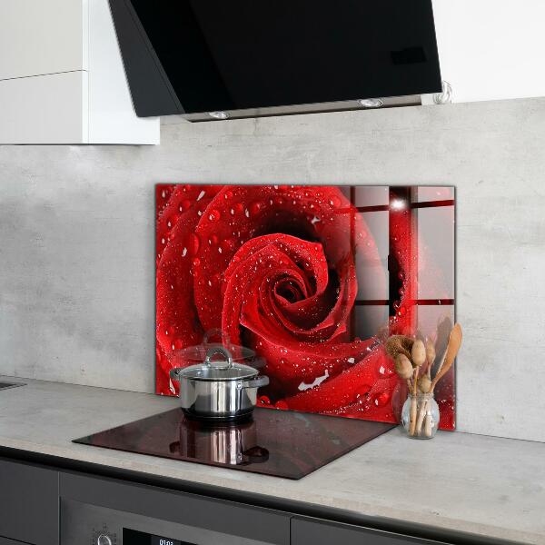 Rivestimento parete cucina Gocce di rugiada su una rosa rossa