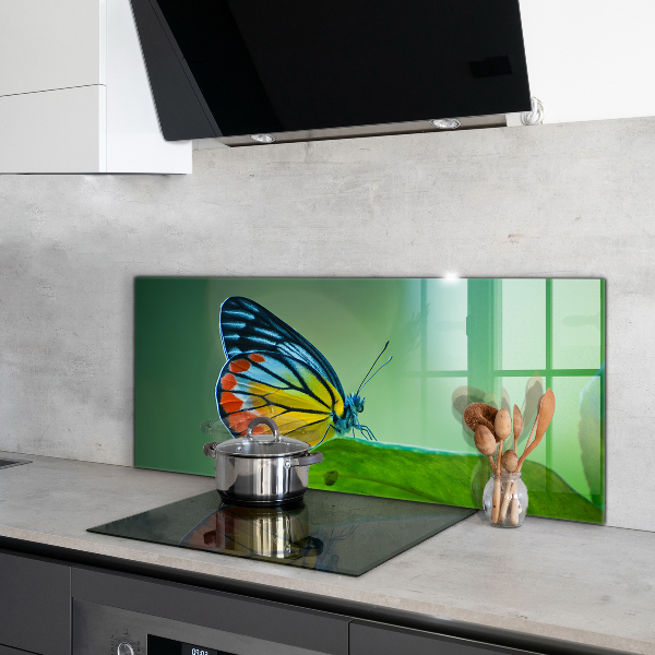 Pannello paraschizzi cucina Farfalla appoggiata su una foglia