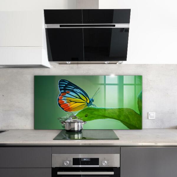 Pannello paraschizzi cucina Farfalla appoggiata su una foglia