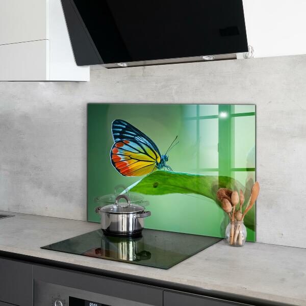Pannello paraschizzi cucina Farfalla appoggiata su una foglia