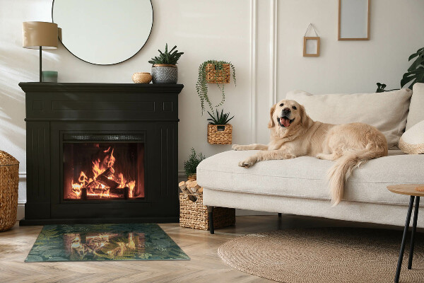 Rettangolare vetro sotto stufa Motivi vegetali con farfalle