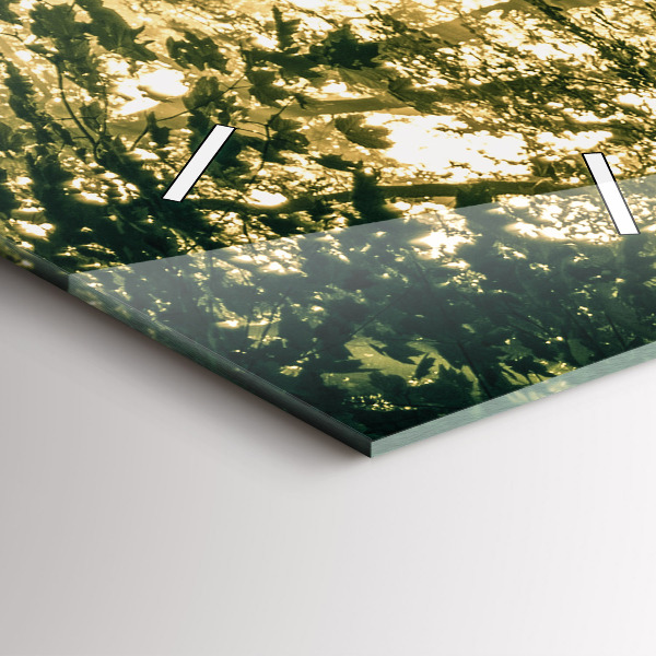 Orologio verticale Foresta dei raggi del sole